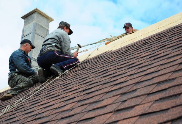 Professional Roofing Contractor in Arlington Heights, IL